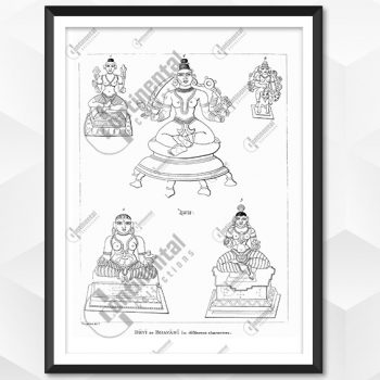 Bhavani